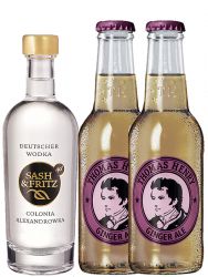 Sash & Fritz Vodka Flasche pur 0,1 Liter + 2 x Thomas Henry Ginger Ale 0,2 Liter