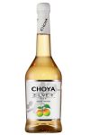 Choya Sake SILVER 0,5 Liter