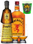 Fireball & Frangelico + 2 Glencairn Gläser + Jello Shot Waldmeister Wackelpudding mit Wodka 42 Gramm Becher
