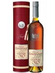 Frapin Fontpinot Cognac XO 0,7 Liter