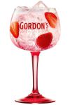 Gordons Pink GIN STIELGLAS 1 Stck