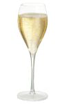 Taittinger Champagner Glas