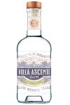 Villa Ascenti Italienischer Gin aus dem Piemont 0,7 Liter